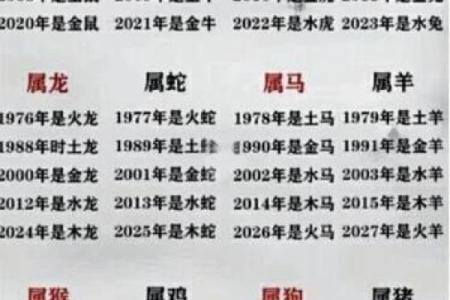 属鼠男孩：半夜出生的他注定与众不同的命运解析