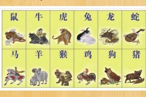 属马的处女座是什么命?探秘其性格与命运特点! 属马的处女座是什么命?探秘其性格与命运特点!