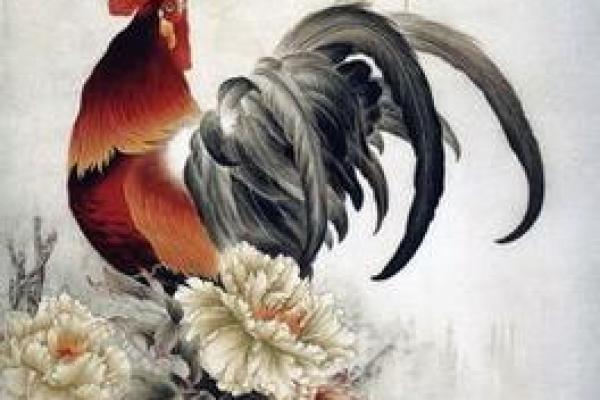 属鸡2017年的命运与人生道路探秘