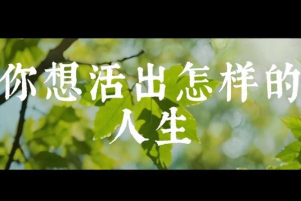 逆天改命:通过枪修开启你人生的新篇章 逆天改命:通过枪修开启你人生的新篇章