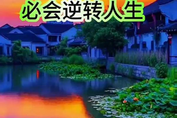 适合做官的命格:从命理学看人生选择与机遇的结合 适合做官的命格:从命理学看人生选择与机遇的结合