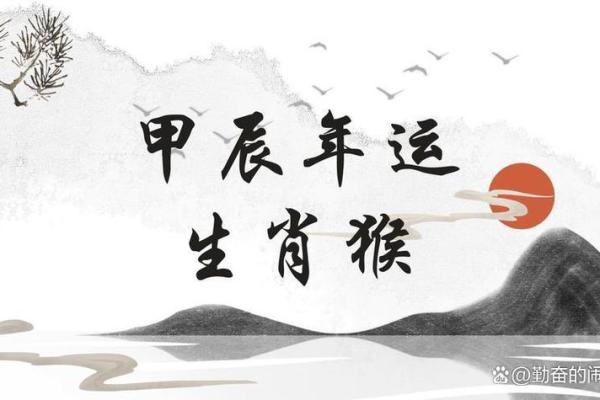 属猴的人在2016年的运势解析与建议