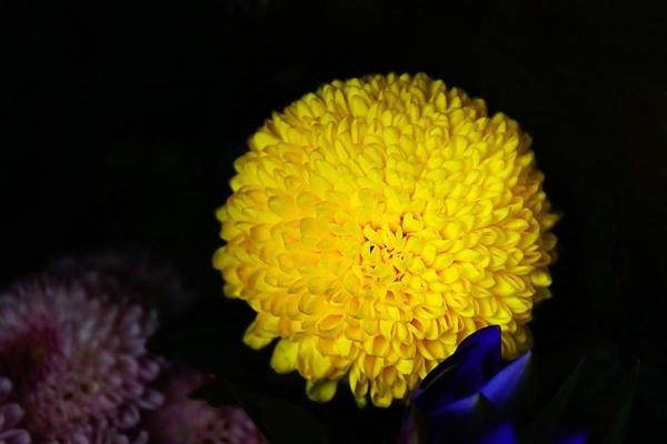 石榴木命猴命解析：如何弥补命理中的缺失与不足