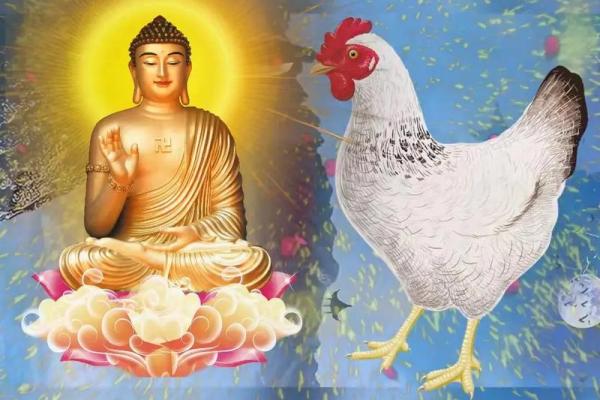 属鸡男石榴木命解析:智慧与坚韧的完美结合 属鸡男石榴木命解析:智慧与坚韧的完美结合