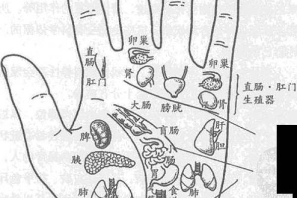 女命年柱隔角解析：从命理看人生发展之路