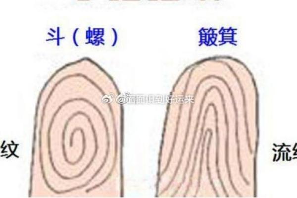 女人两个斗是什么命？看手相揭示她们的命运秘密！