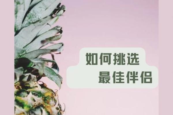 伤官格男命的最佳伴侣:如何选择适合你的另一半! 伤官格男命的最佳伴侣:如何选择适合你的另一半!