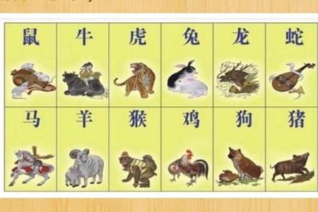 属马的处女座是什么命？探秘其性格与命运特点！