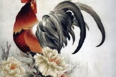 属鸡2017年的命运与人生道路探秘