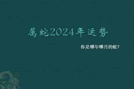 属相与命理：揭开中国传统文化的神秘面纱