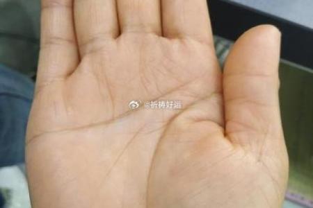 手纹杂乱深的女人：命运之谜与生活启示