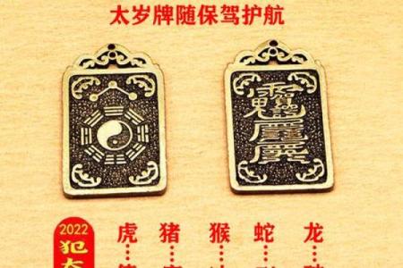 石榴木命猴命解析：如何弥补命理中的缺失与不足