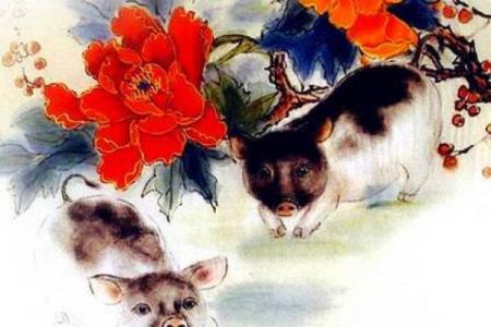 属猪75岁命运解析：和谐、自信与福气的象征