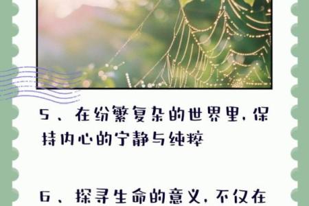 什么是贵命，什么是贱命：探寻生命价值的真谛