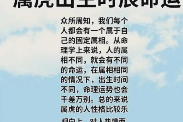 男孩丑时牛进食，命运的幽幽旋律与人生的深刻启示