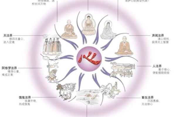 根据因果法则为命的成语解析与人生启示 根据因果法则为命的成语解析与人生启示