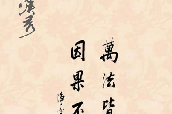 根据因果法则为命的成语解析与人生启示 根据因果法则为命的成语解析与人生启示