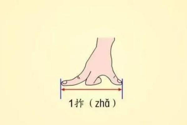 神秘和尚命：如何根据出生时辰揭示你的命运与性格