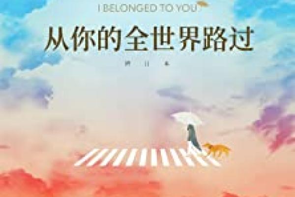 《小中年的片头曲：音乐背后的情感与故事》