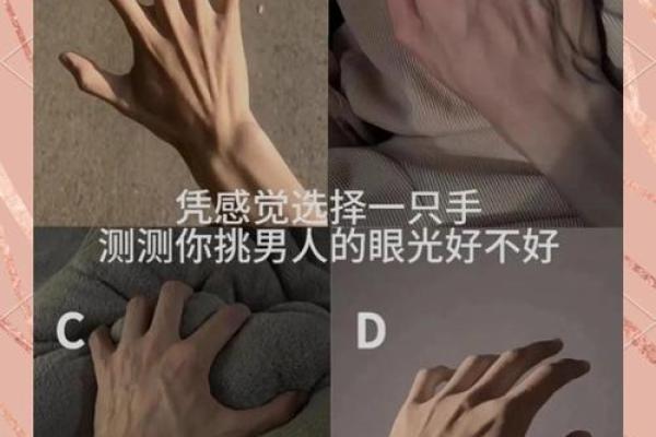 手相揭秘:你生命中的秘密,有多少从手中显现? 手相揭秘:你生命中的秘密,有多少从手中显现?