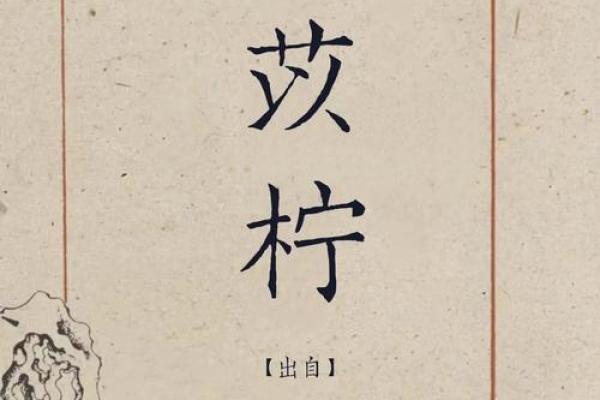 适合土命姓刘女孩的美丽名字推荐与解析