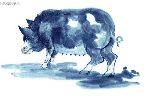 解密属相猪在丁卯日出生的命运与人生轨迹 解密属相猪在丁卯日出生的命运与人生轨迹