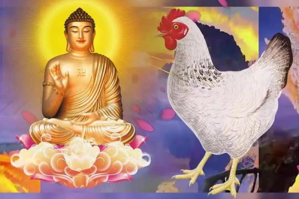 1993年属鸡的人：命运解析与人生智慧