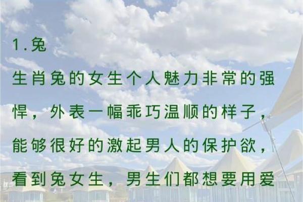 什么生肖女能当老板命？看这些女生肖如何掌控事业与生活