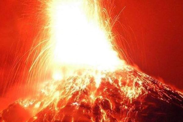 山头火与路旁土命的智慧启示：生命的交融与平衡