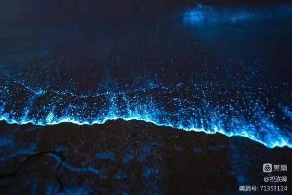 山头火与路旁土命的智慧启示：生命的交融与平衡