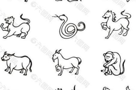 十二生肖中的龙女：她的命运与性格分析