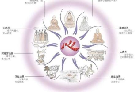 根据因果法则为命的成语解析与人生启示