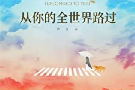 《小中年的片头曲：音乐背后的情感与故事》