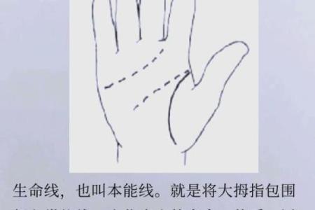 手相揭秘：你生命中的秘密，有多少从手中显现？