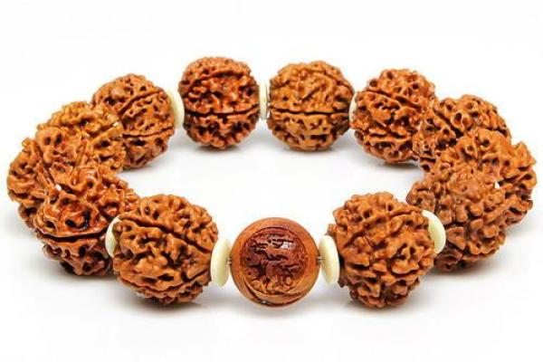 属龙大林木命适合哪些生意？探寻智慧与财富的结合！