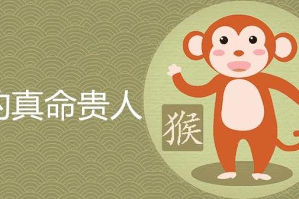 属猴的真命贵人:哪些属相与你最合拍? 属猴的真命贵人:哪些属相与你最合拍?
