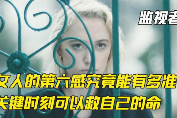 命短的女人：生活的哲学与勇敢的追求