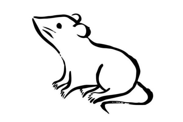 属狗的五行命理解析:揭示忠诚与智慧的奥秘 属狗的五行命理解析:揭示忠诚与智慧的奥秘