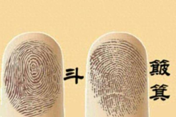 揭秘男指纹与命运的奥秘:无斗男士的命运解析 揭秘男指纹与命运的奥秘:无斗男士的命运解析