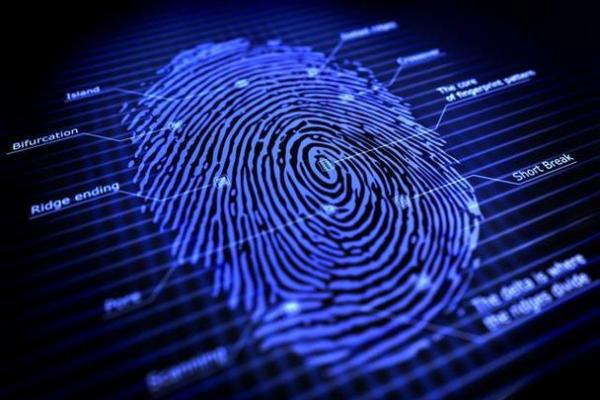 揭秘男指纹与命运的奥秘:无斗男士的命运解析 揭秘男指纹与命运的奥秘:无斗男士的命运解析