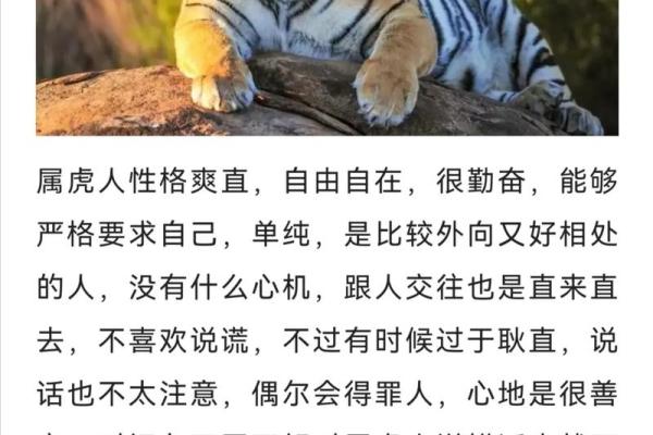属虎女正月初五出生的命理分析与人生运势探讨