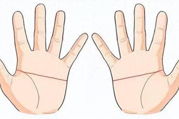 从手相看你的命运:富贵人生还是平凡际遇? 从手相看你的命运:富贵人生还是平凡际遇?