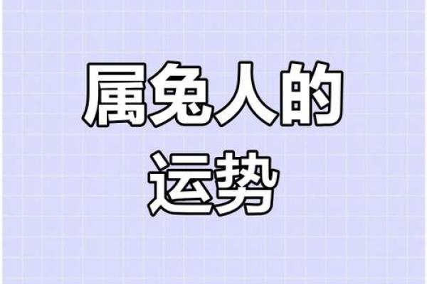 属兔男命解析：兔年出生的男人性格特征与命运揭秘