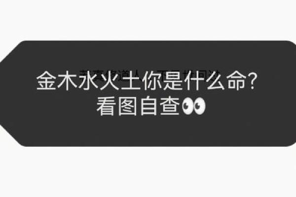 沙中土与屋上土：解密命理中的土命之道