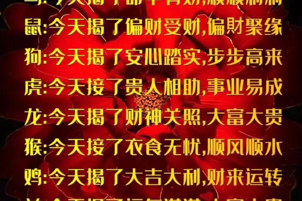 属兔腊月出生者：揭秘他们的命运与性格特点
