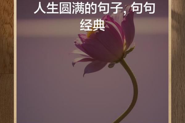 拿命都换不来的人：值得珍惜的生命之旅