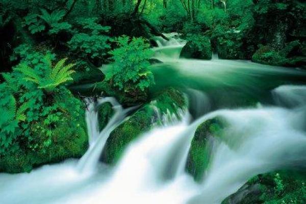 如何通过命理解析寻找适合旺土水墨先生的最佳居所 如何通过命理解析寻找适合旺土水墨先生的最佳居所