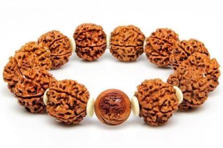 属龙大林木命适合哪些生意？探寻智慧与财富的结合！