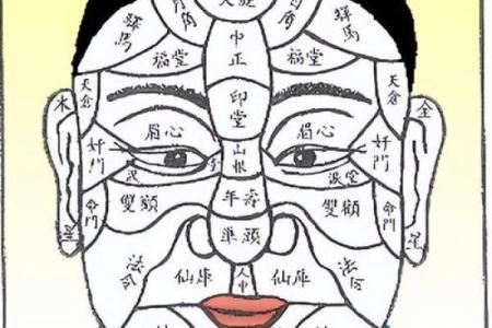 什么脸型的女人最旺夫命？揭开面相与命运的秘密！