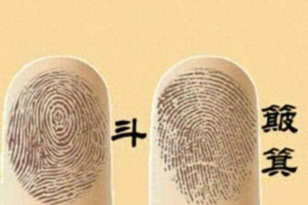 揭秘男指纹与命运的奥秘：无斗男士的命运解析